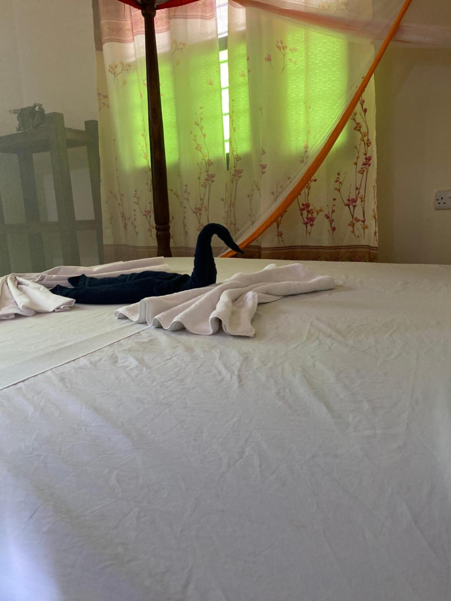 Bed and Breakfast Falcon House Кендва Экстерьер фото
