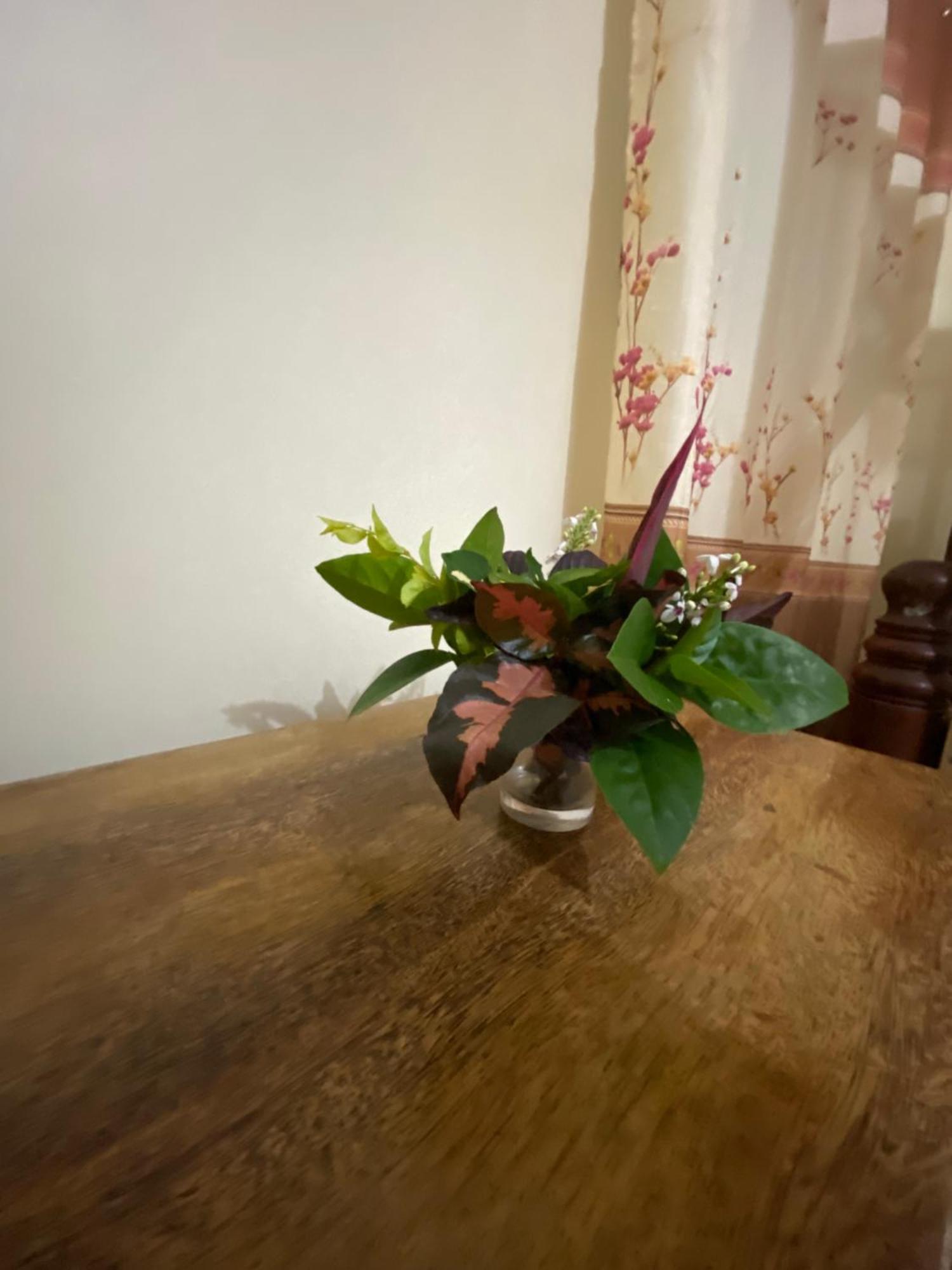 Bed and Breakfast Falcon House Кендва Экстерьер фото